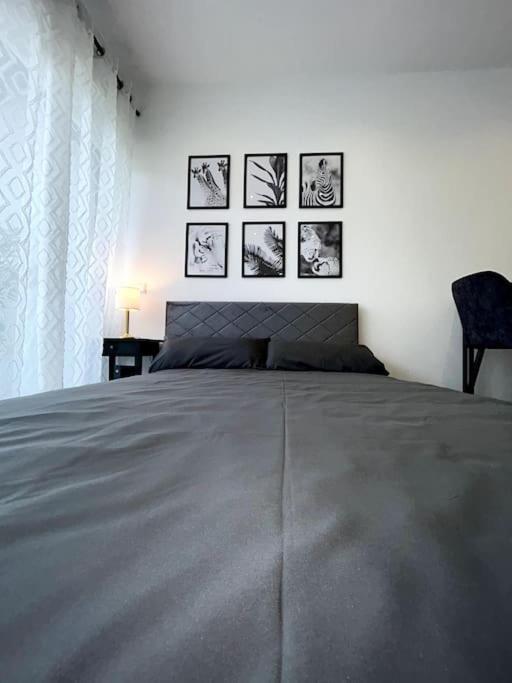 Bahnhofsapartment Loerrach Ngoại thất bức ảnh